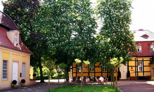 Какие деревья можно сажать возле дома на участке. Деревья возле дома — виды которые можно и нельзя сажать. 100 фото лучших вариантов для посадки