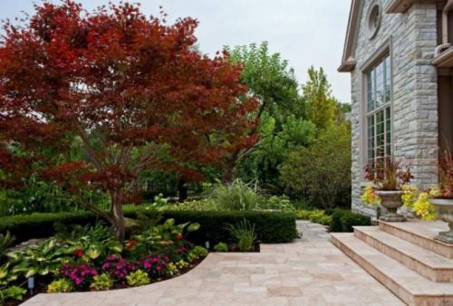 Какие деревья можно сажать во дворе частного дома. Какие деревья можно сажать возле дома