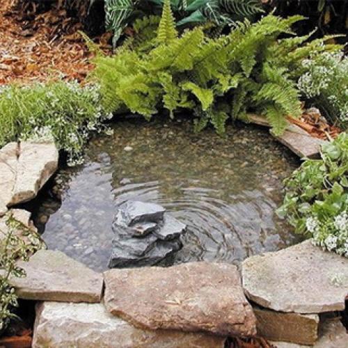 Дизайн пруда на даче. Пруд на даче —, как спроектировать, построить и украсить пруд для сада и дачного участка 22 Дизайн пруда на даче. Пруд на даче —, как спроектировать, построить и украсить пруд для сада и дачного участка 22