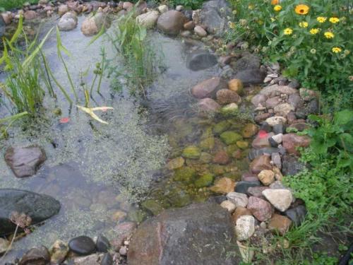 Дизайн пруда на даче. Пруд на даче —, как спроектировать, построить и украсить пруд для сада и дачного участка