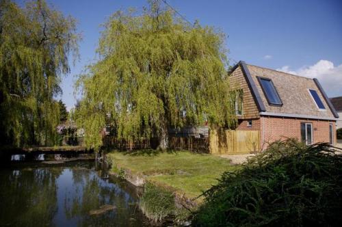 Посадка деревьев возле дома. Посадка плодовых деревьев возле дома 04