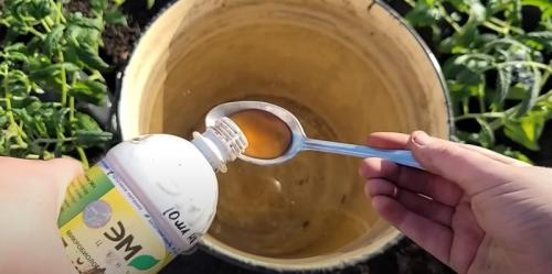 Каковы преимущества использования 1 ложки на ведро воды по сравнению с большими дозами. Одну ложку на ведро воды и земля, как новая: почва плодородная, а в плодах нет ни капли нитратов