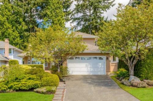 Какие деревья можно сажать во дворе частного дома. Какие деревья можно сажать возле дома