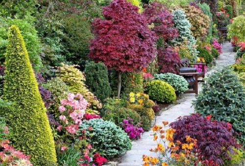 Самые быстрорастущие деревья на урале. Классификация растений по темпам роста