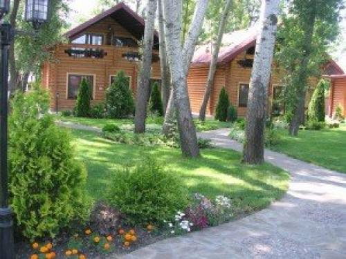 Какие быстрорастущие деревья помогут закрыть соседский дом. Слева забор, справа забор 13 Какие быстрорастущие деревья помогут закрыть соседский дом. Слева забор, справа забор 13