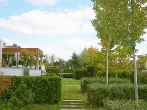 Какие быстрорастущие деревья помогут закрыть соседский дом. Слева забор, справа забор 14 Какие быстрорастущие деревья помогут закрыть соседский дом. Слева забор, справа забор 14