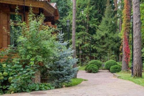 Какие деревья можно сажать во дворе частного дома. Какие деревья можно сажать возле дома