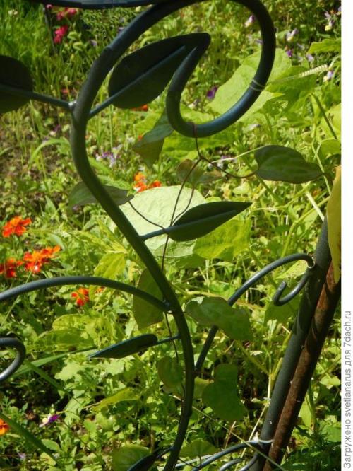 Как закрепить арку на земле, чтобы она была устойчивой. Арка садовая