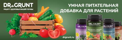 Когда сажать деревья осенью. Все про осеннюю посадку плодовых деревьев и кустарников: полный разбор
