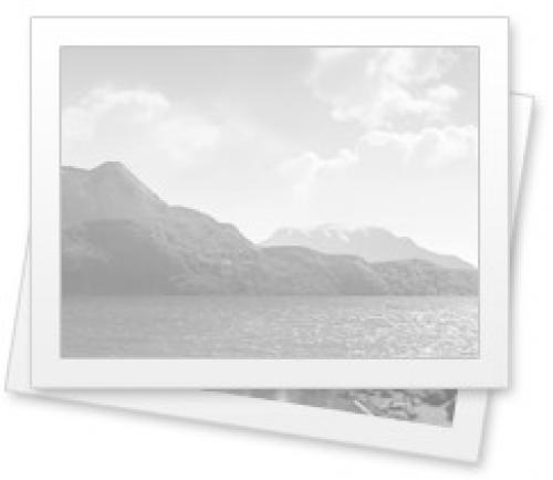 Как выбрать арку для вьющихся растений: советы и рекомендации 03