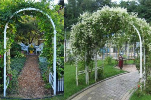 Какие материалы нужны для изготовления садовой арки из пластиковых труб. Как сделать арку из пластиковых труб в саду