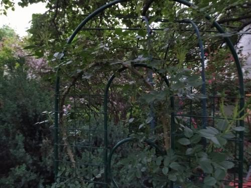 Шпалера для вьющихся растений своими руками. Самодельные шпалеры для лиановидных культур