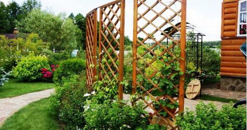Шпалера для вьющихся растений своими руками. Самодельные шпалеры для лиановидных культур