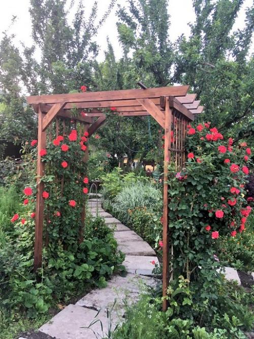 Какие материалы лучше всего использовать для строительства арки для плетистых. Материал для арок