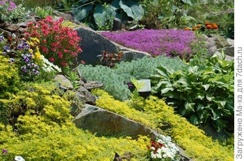 Альпийская горка это. Альпийская горка – горный колорит на вашем участке