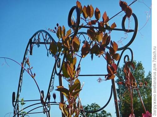 Как правильно закрепить арку на земле, чтобы она была устойчивой. Арка садовая