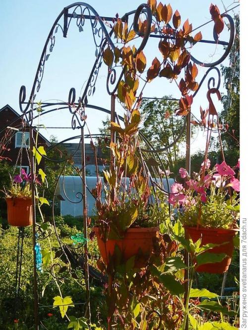 Как правильно закрепить арку на земле, чтобы она была устойчивой. Арка садовая