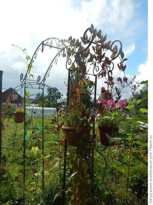 Как правильно закрепить арку на земле, чтобы она была устойчивой. Арка садовая