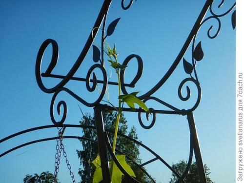 Как правильно закрепить арку на земле, чтобы она была устойчивой. Арка садовая