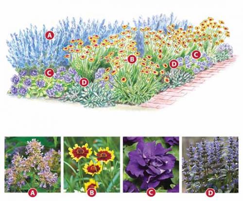 Цветник своими руками для начинающих схемы. Как сделать красивую клумбу: 15 схем для цветника