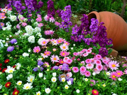 Цветники своими руками — пошаговая инструкция для начинающих. 100 фото готовых идей, новинки, секреты и хитрости от садовника