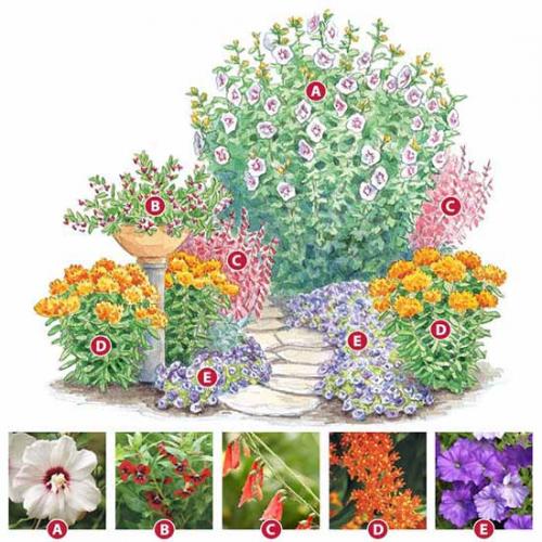 Цветник своими руками для начинающих схемы. Как сделать красивую клумбу: 15 схем для цветника