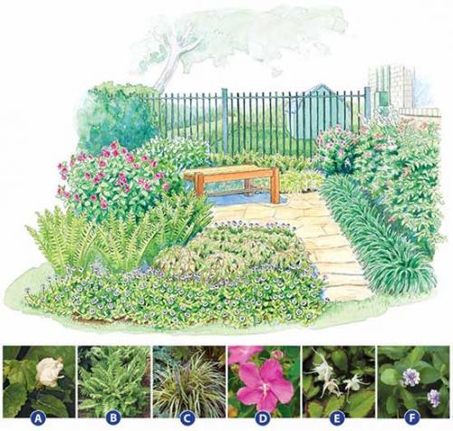 Цветник своими руками для начинающих схемы. Как сделать красивую клумбу: 15 схем для цветника