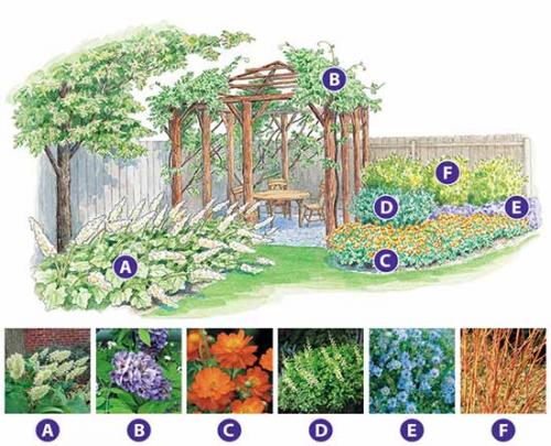 Цветник своими руками для начинающих схемы. Как сделать красивую клумбу: 15 схем для цветника