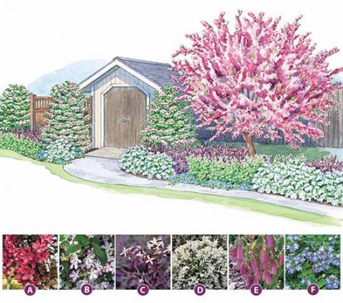 Цветник своими руками для начинающих схемы. Как сделать красивую клумбу: 15 схем для цветника