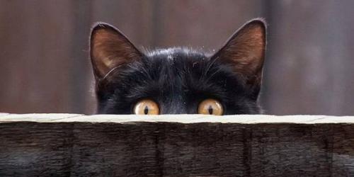 Можно ли ставить кровать ногами к двери. Суеверные народные приметы