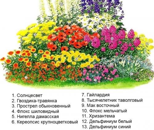 Оформление цветника перед домом своими руками. Готовые схемы красивых клумб разной формы из многолетних цветов в Подмосковье для начинающих