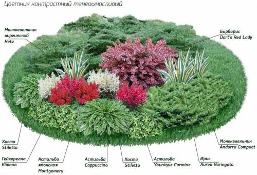 Оформление цветника перед домом своими руками. Готовые схемы красивых клумб разной формы из многолетних цветов в Подмосковье для начинающих