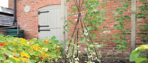 Круговая опора для цветов своими руками. Опора для цветов своими руками из подручных материалов