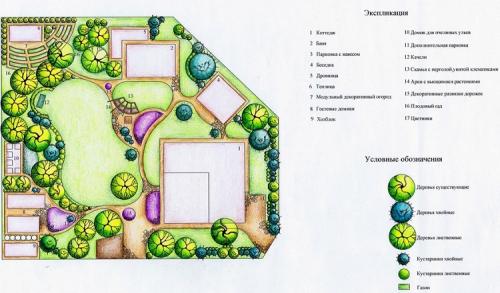 Красивые клумбы на даче из многолетников. Клумбы из многолетних цветов фото и готовые схемы 18