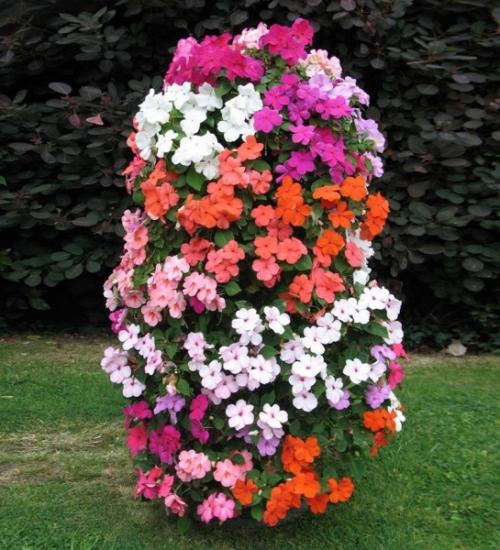 Готовые схемы и проекты клумб. Виды клумб и выбор места