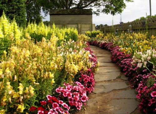 Готовые схемы и проекты клумб. Виды клумб и выбор места