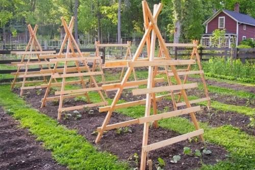 Шпалера из пластиковых труб для огурцов. Как самостоятельно сделать шпалеру для огурцов