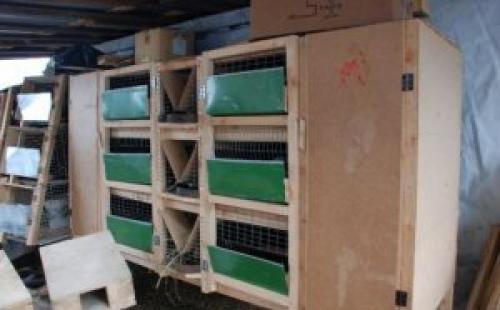 Крольчатник в сарае. Общая конструкция и схема крольчатника