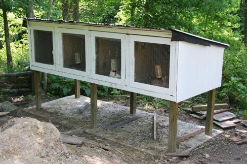 Крольчатник из поддонов. Этапы изготовления клеток для кроликов