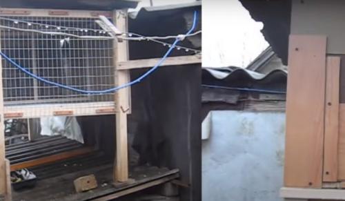 Крольчатник чертеж. Крольчатник своими руками: лучшие схемы, чертежи с фото, готовая инструкция постройки, выбор места крольчатника (полезные советы)