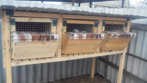 Крольчатник чертеж. Крольчатник своими руками: лучшие схемы, чертежи с фото, готовая инструкция постройки, выбор места крольчатника (полезные советы)