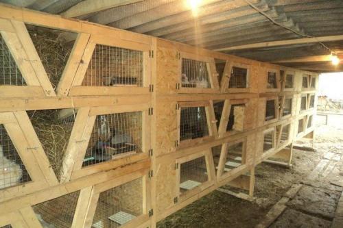 Крольчатник из поддонов. Этапы изготовления клеток для кроликов