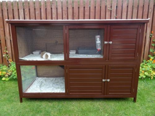 Бюджетный кролятник своими руками. Крольчатник своими руками: планирование, чертежи, схемы, проекты и дизайн (110 фото)