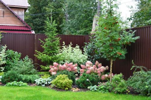 Деревья вдоль забора со стороны улицы. Какие типы заборов нуждаются в насаждениях