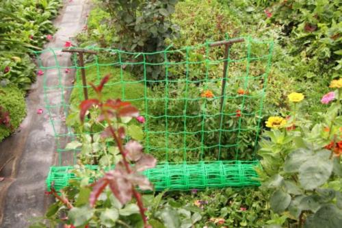 Шпалера для клематиса своими руками. Опоры для клематисов — лучшие идеи