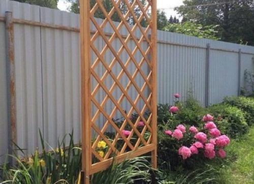 Шпалера для клематиса своими руками. Опоры для клематисов — лучшие идеи