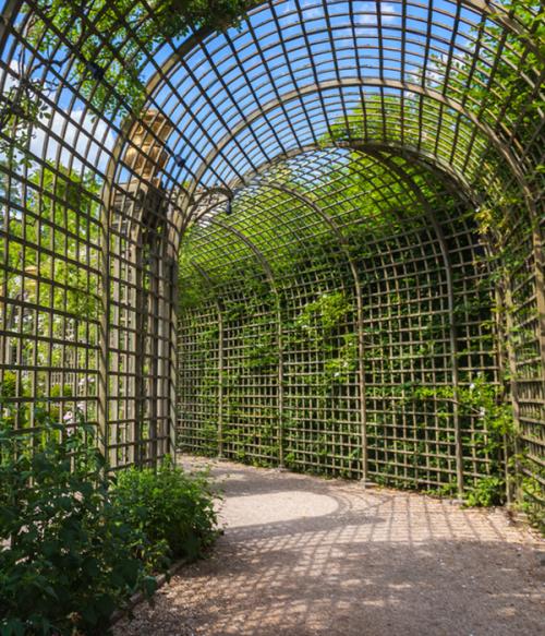 Изготовление шпалеры под вьющиеся растения. История 31