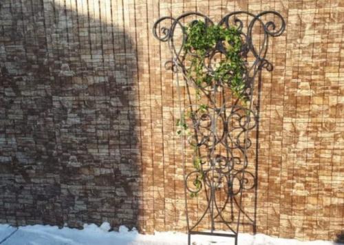 Шпалера для клематиса своими руками. Опоры для клематисов — лучшие идеи