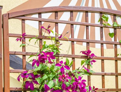 Изготовление шпалеры под вьющиеся растения. История 19