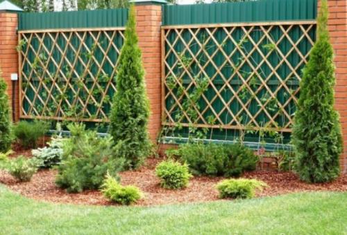 Шпалера для клематиса своими руками. Опоры для клематисов — лучшие идеи